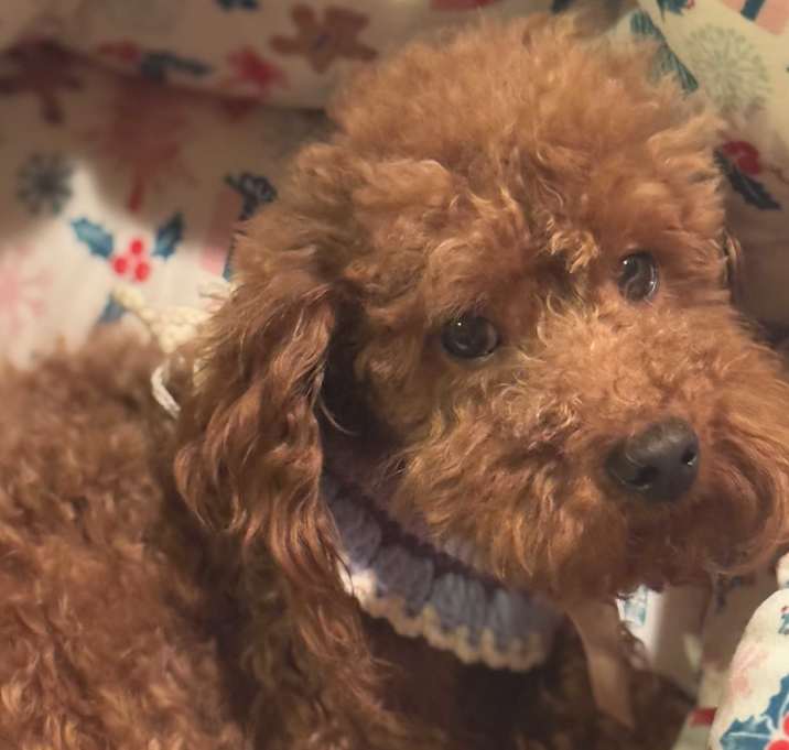 Photo of Danny