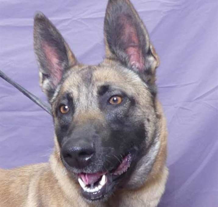 Photo of TONYA