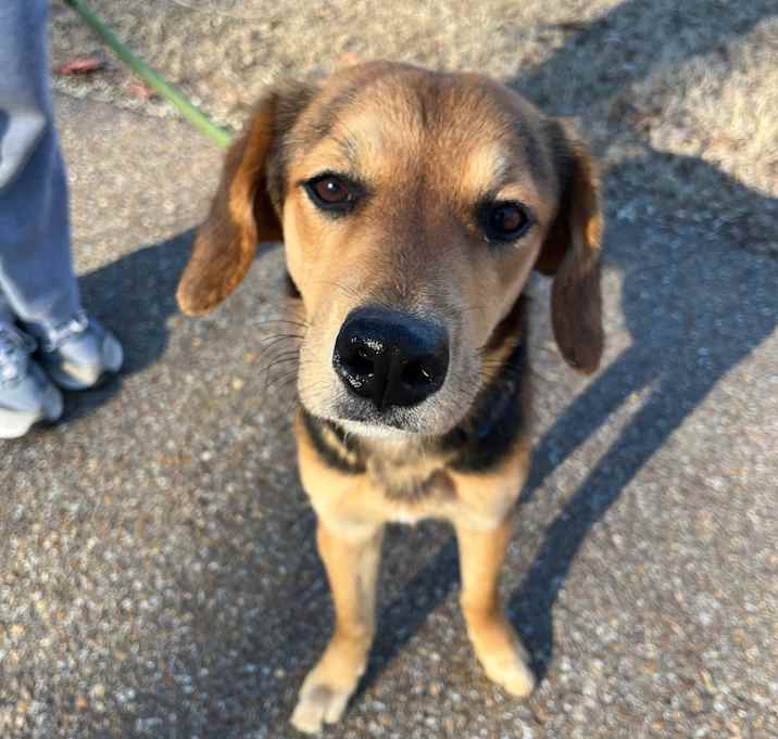 Photo of DIXIE
