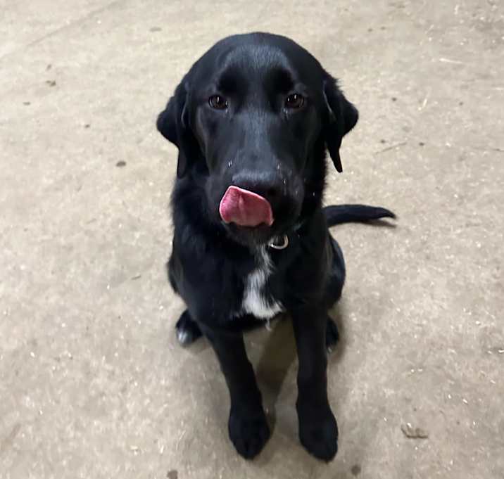 Photo of Kirby
