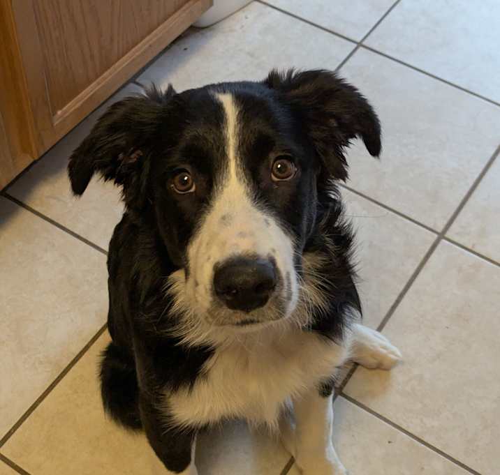 Photo of Prosper