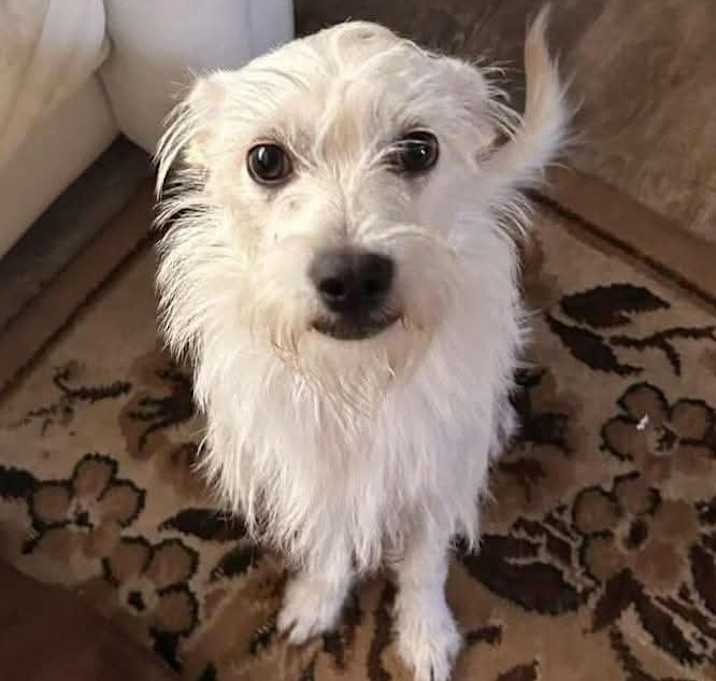 Photo of Nova