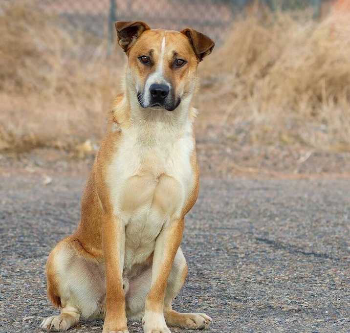 Photo of Bama
