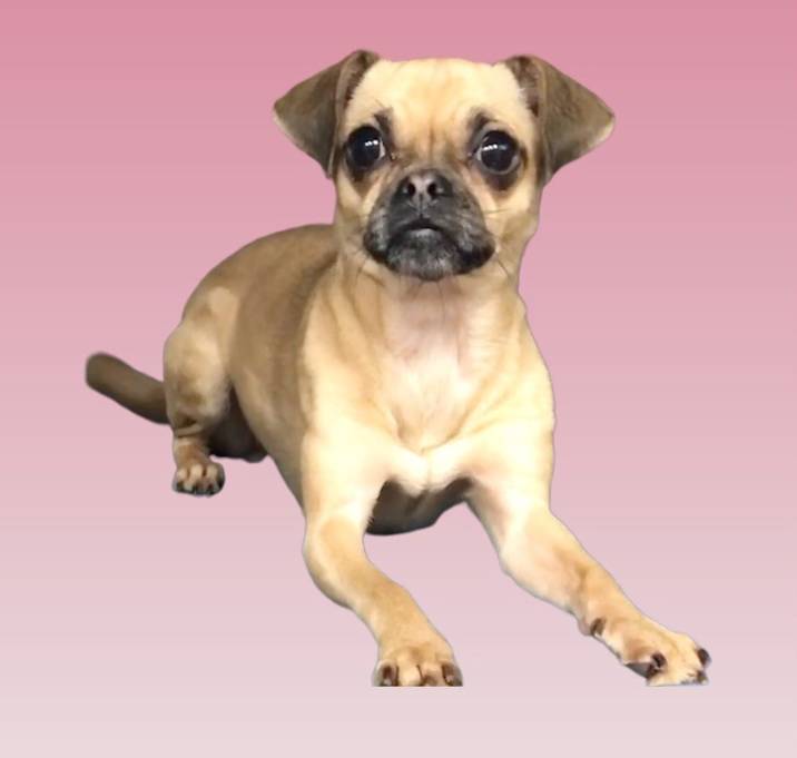 Photo of Fannie