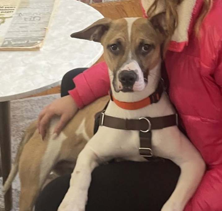Photo of Ace