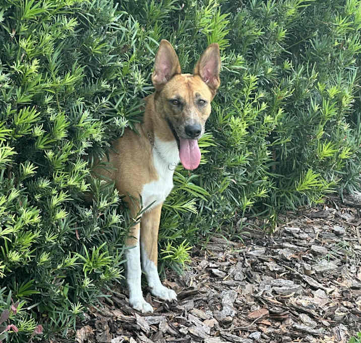 Photo of Hazel