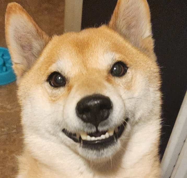 Photo of Oakley