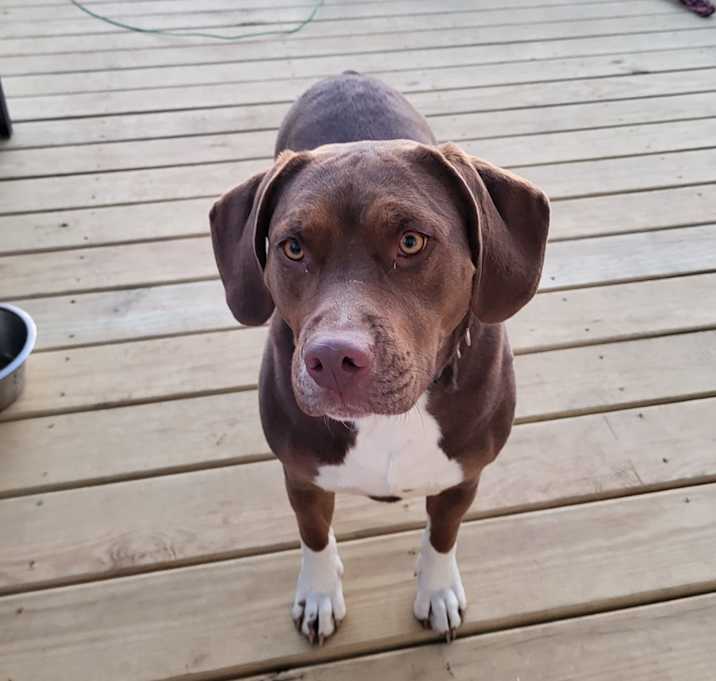 Photo of Dakota