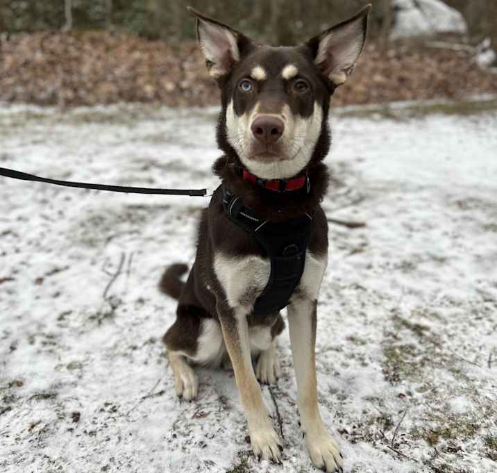 Photo of Zeke