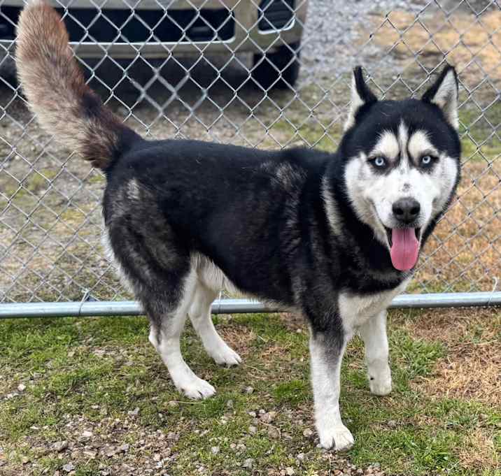 Photo of Zeus