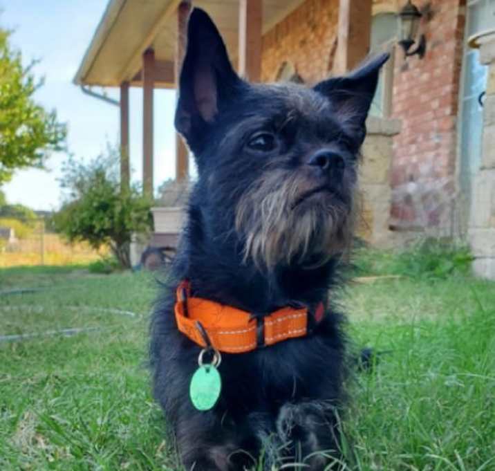 Photo of Blake