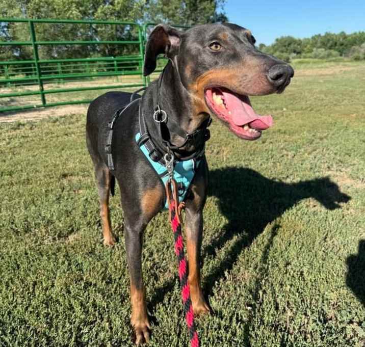 Photo of Jax