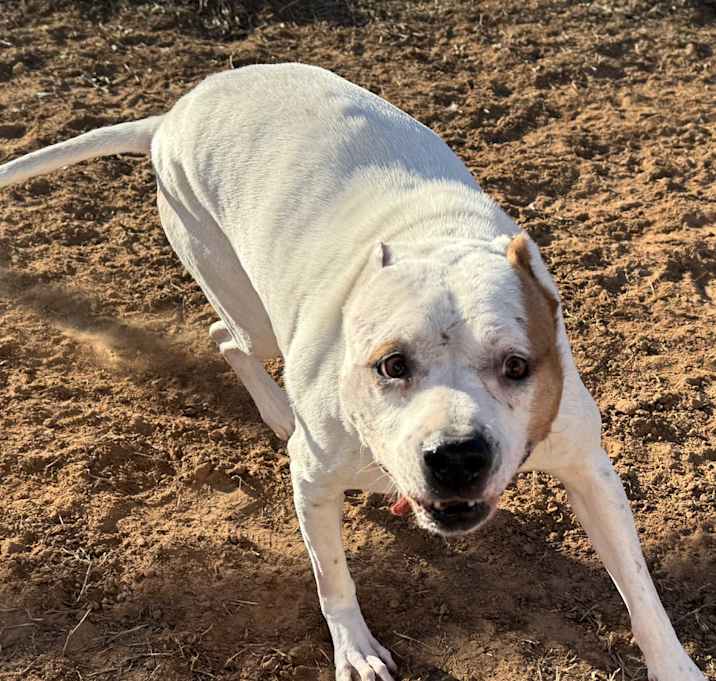 Photo of Sookie