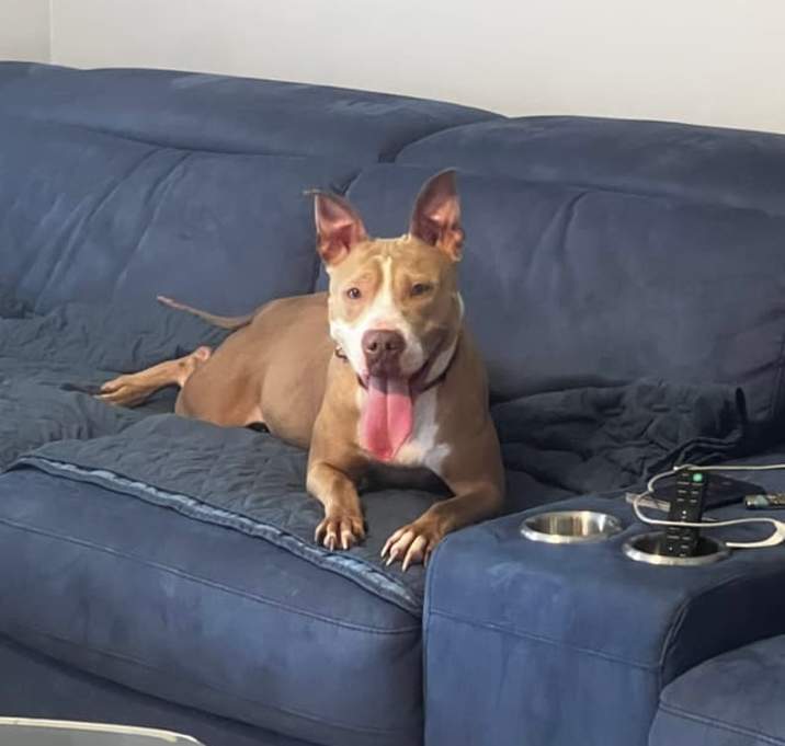 Photo of Daisy