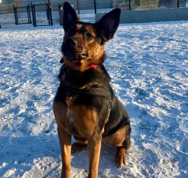 Photo of Cassie