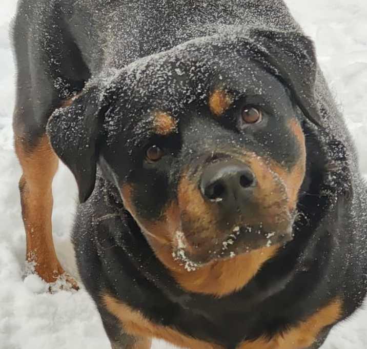 Photo of Zailey