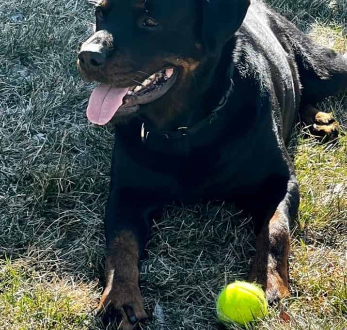 Photo of Chapo