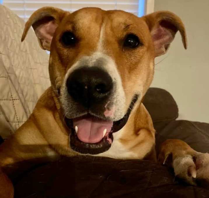 Photo of Bagel