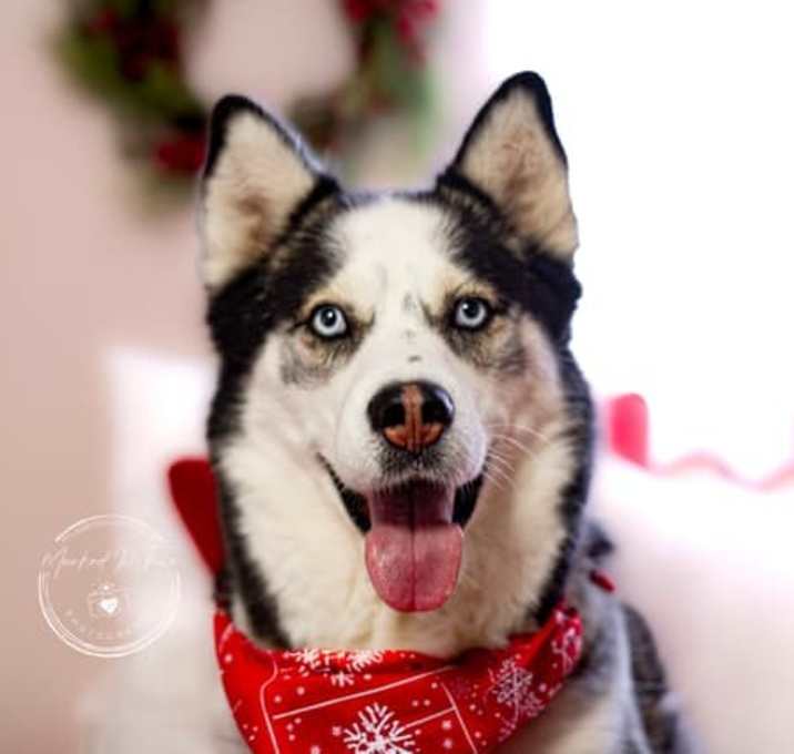 Photo of Ares