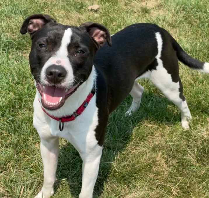 Photo of Champ