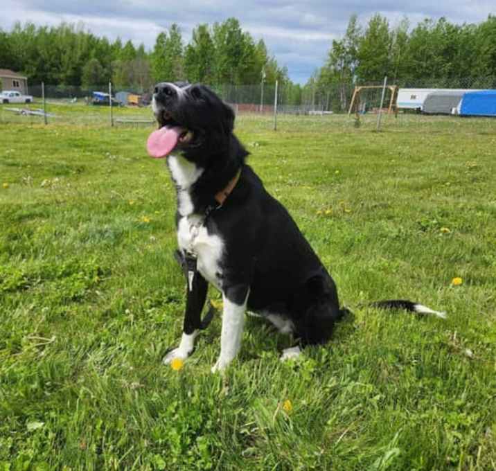 Photo of Bella
