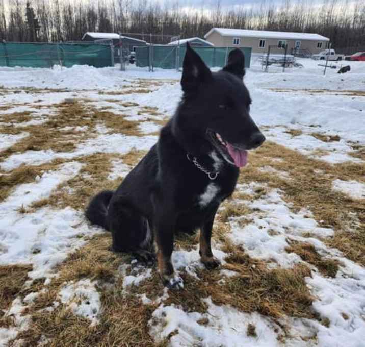 Photo of Whiskey