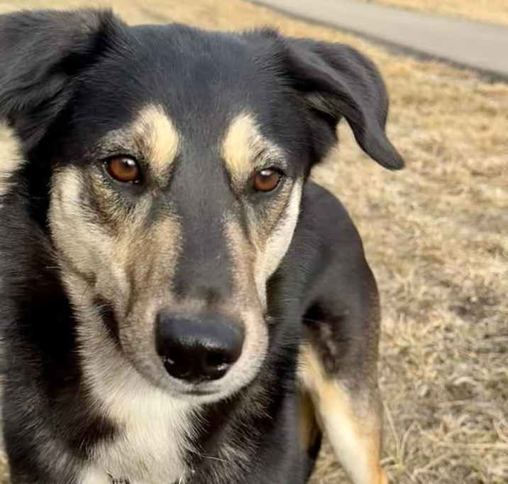 Photo of Missy