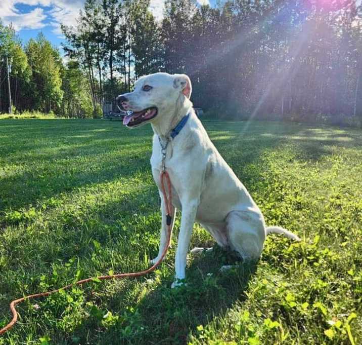 Photo of Dotty