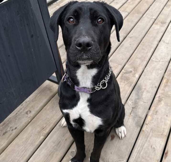 Photo of Roo