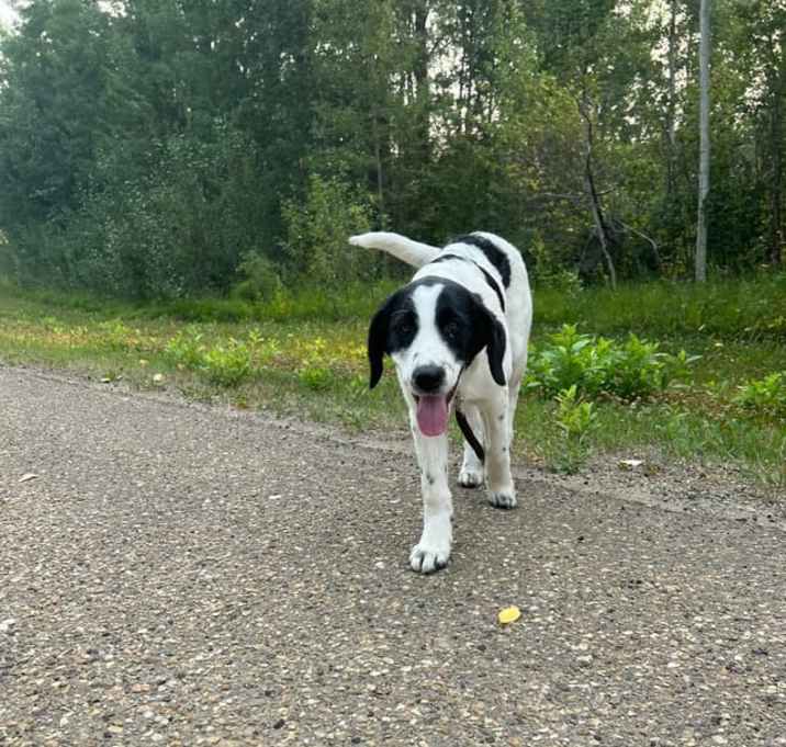 Photo of Nelly