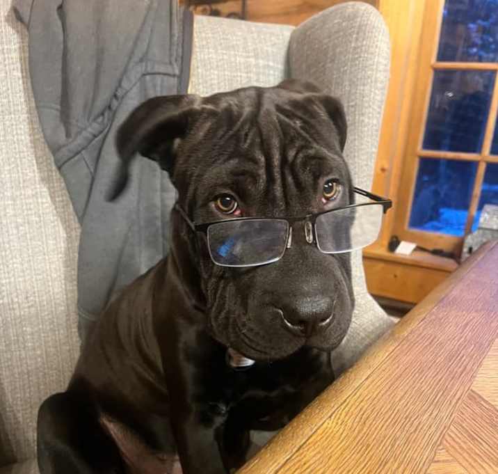Photo of Hamish