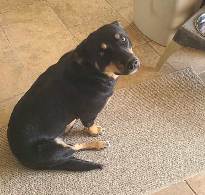 Photo of Indie