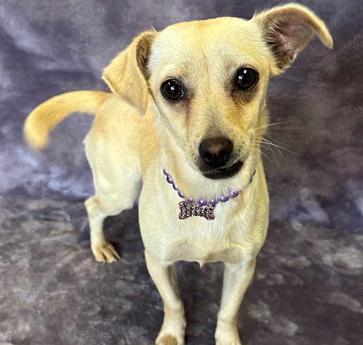 Photo of Chloe