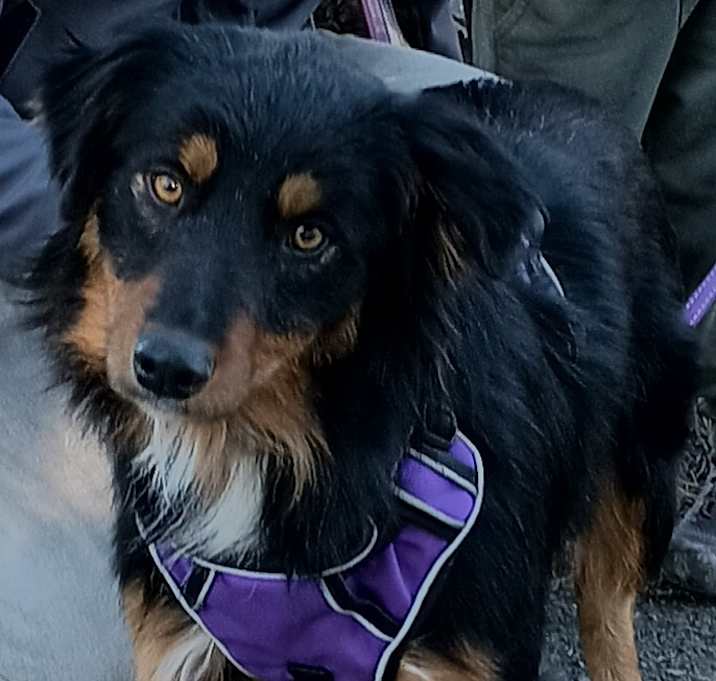 Photo of Maya