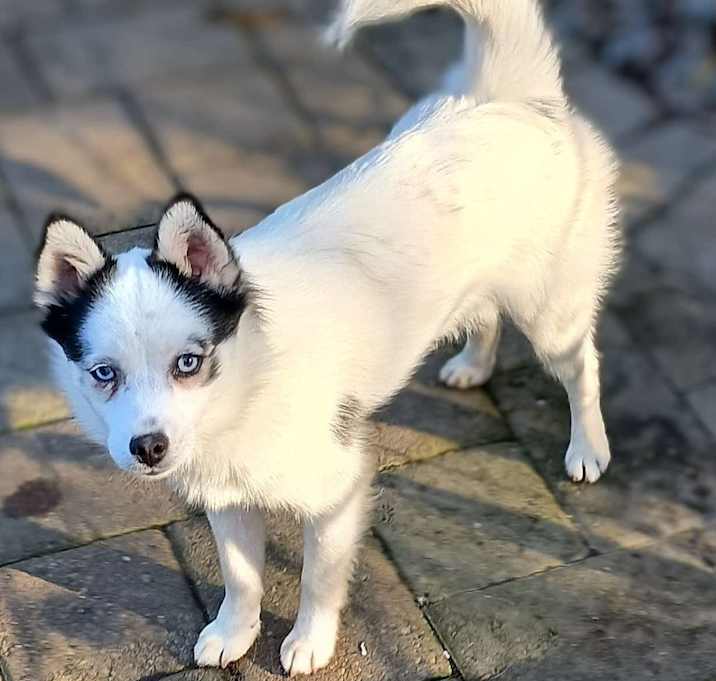 Photo of Jack