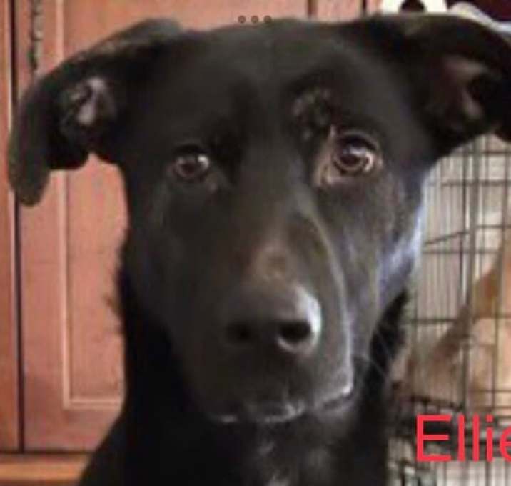Photo of Ellie