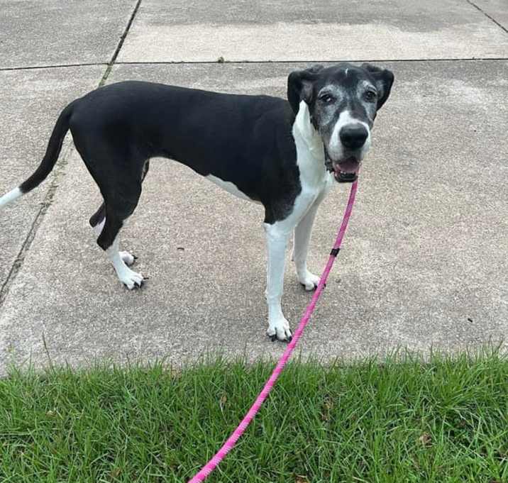 Photo of Dakota