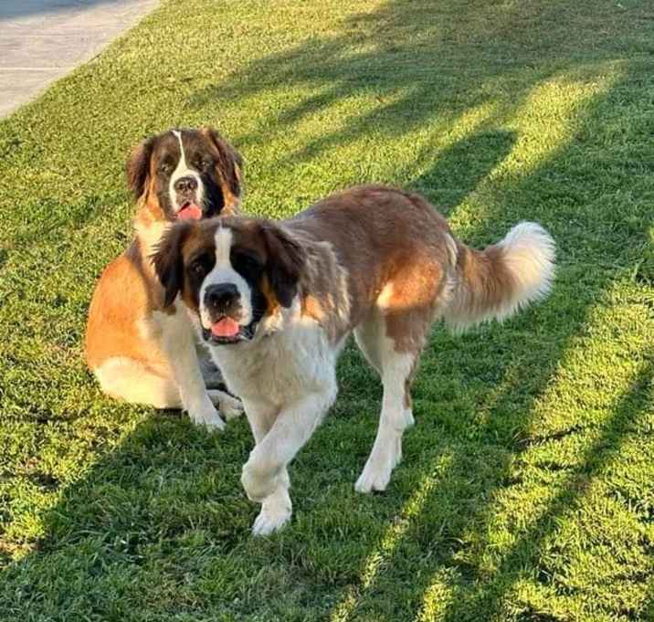Photo of Lily & Maggie