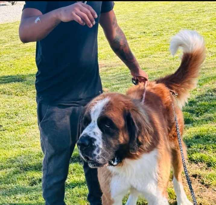 Photo of Sully