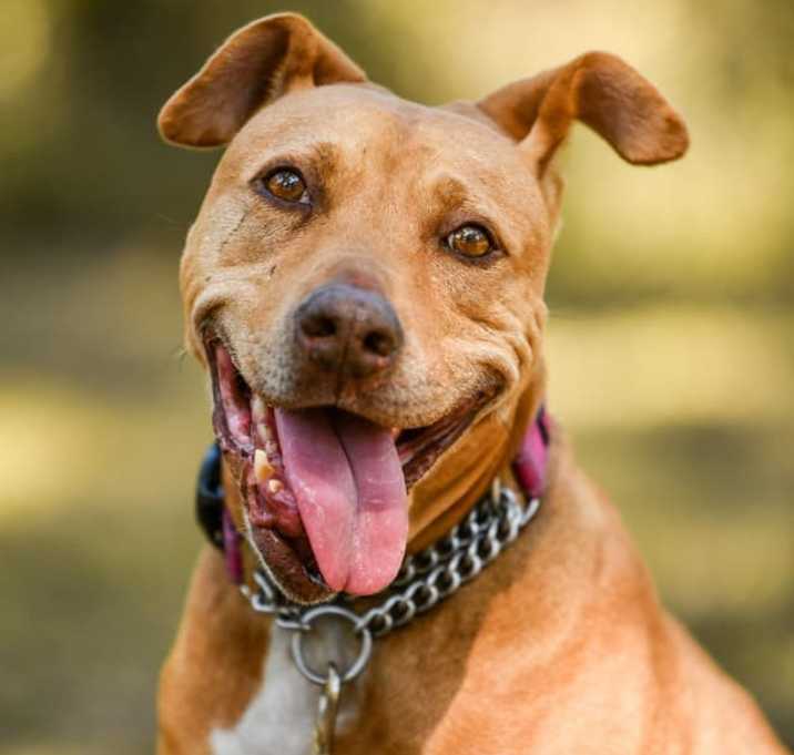 Photo of Betty