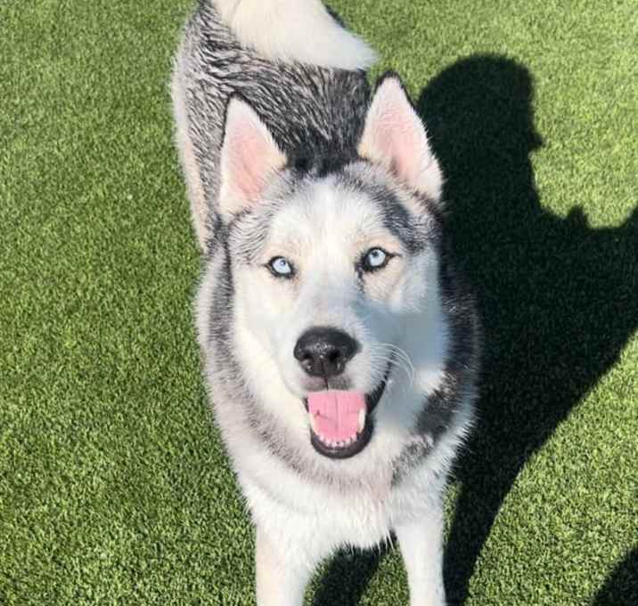 Photo of Yukon