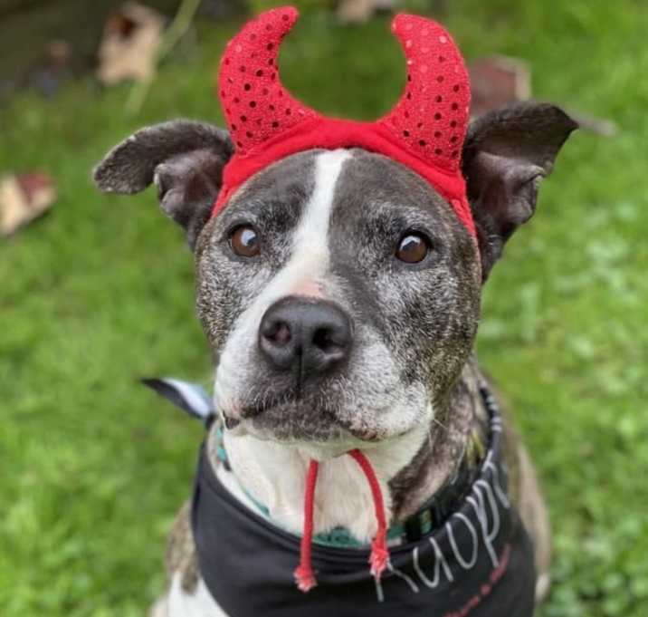 Photo of Sammie
