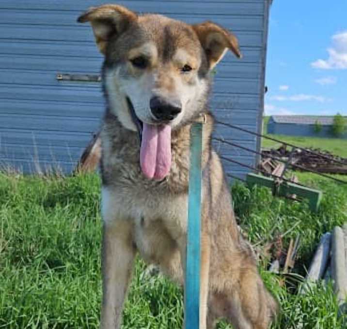 Photo of Thor