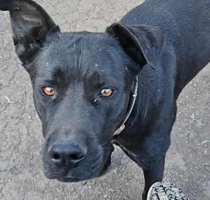 Photo of Duke