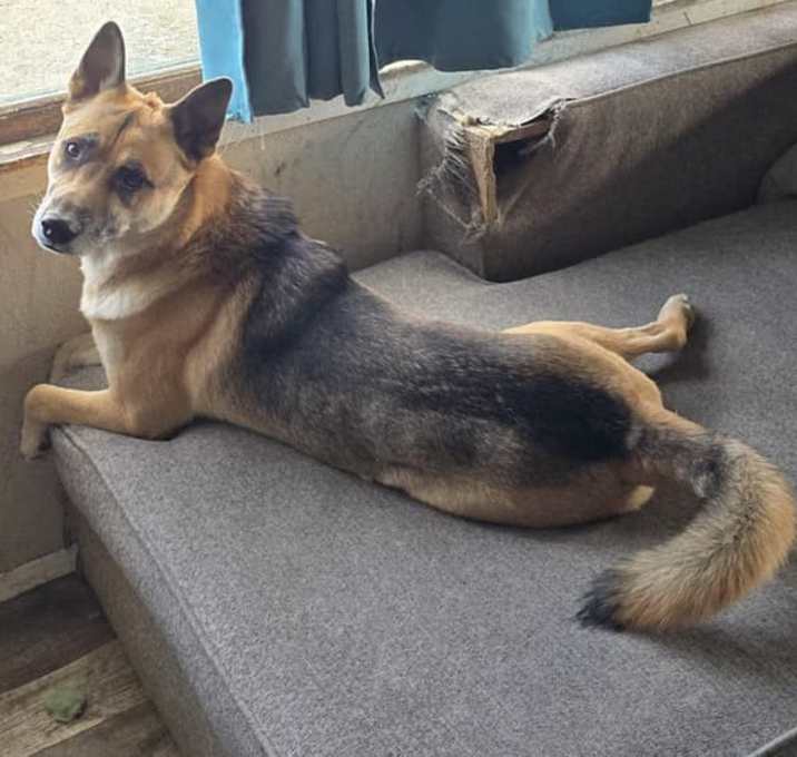 Photo of Hunter