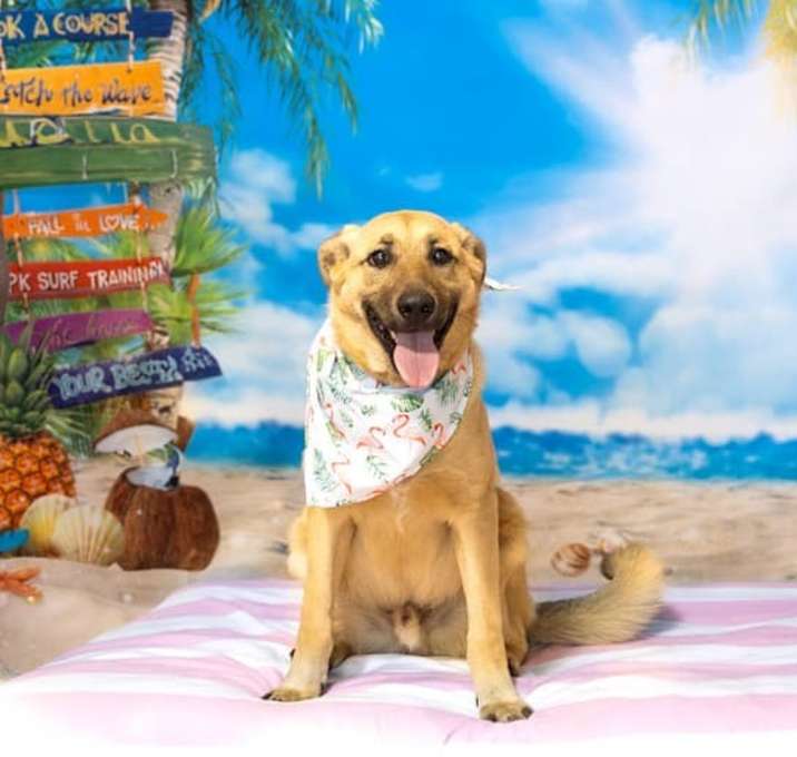Photo of Chase