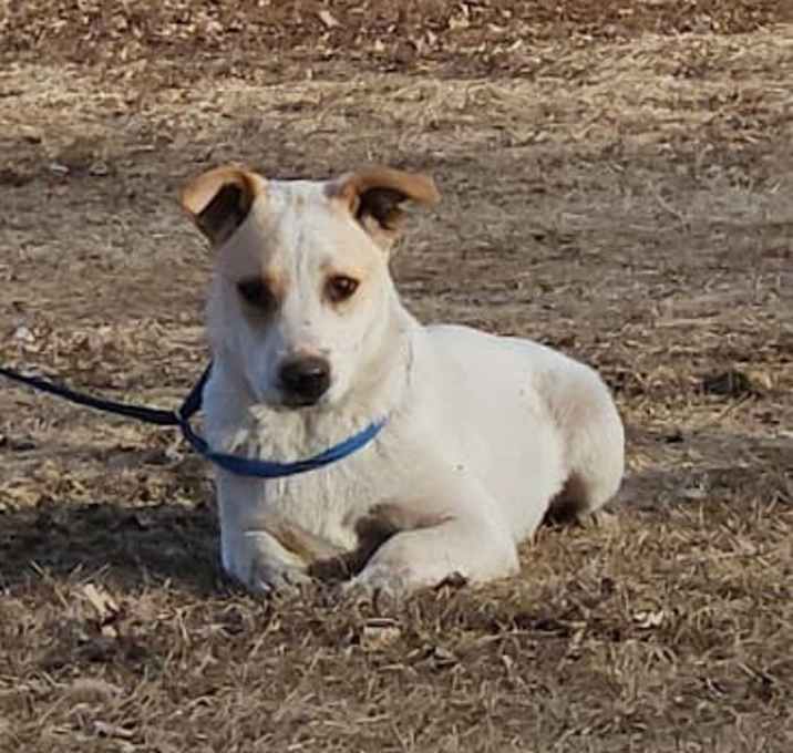 Photo of TatorTot