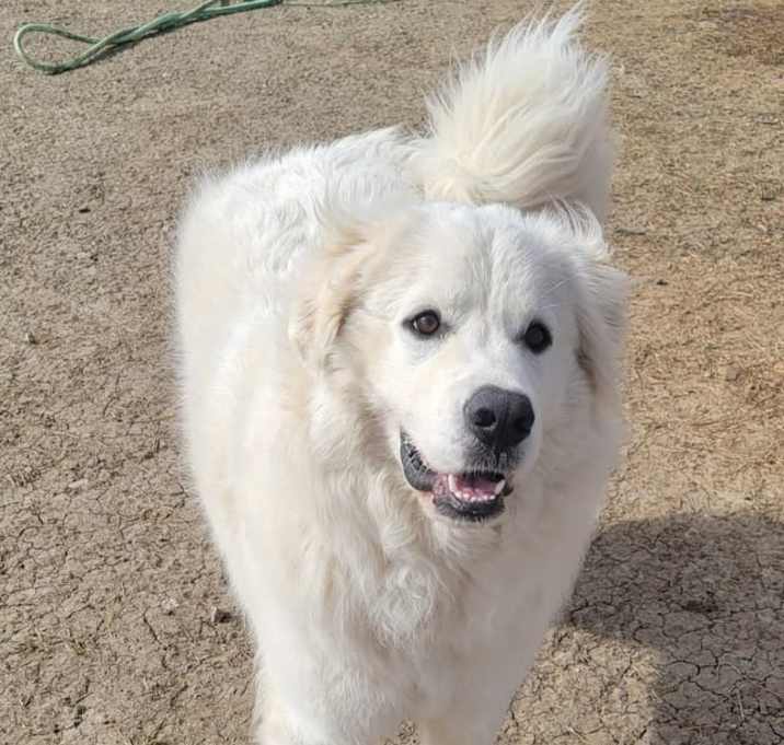 Photo of Sadie Loo DFW