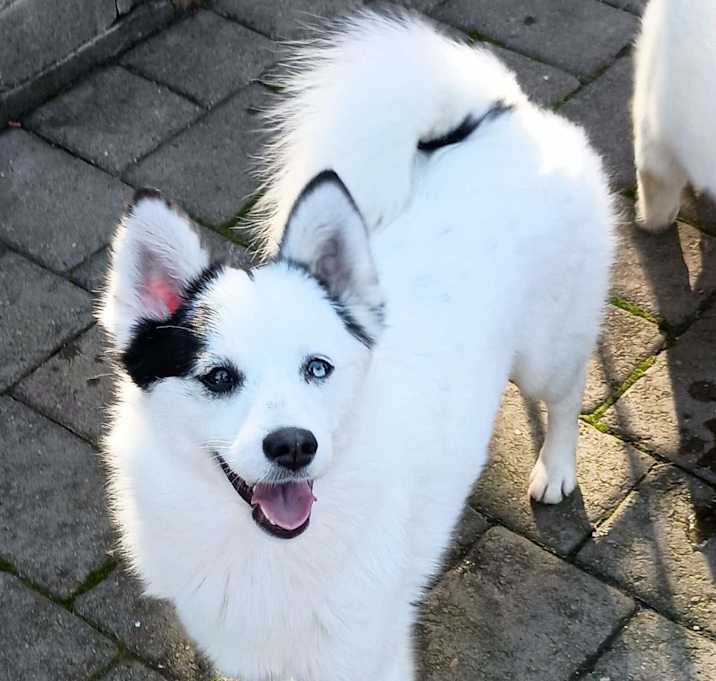 Photo of Kayla