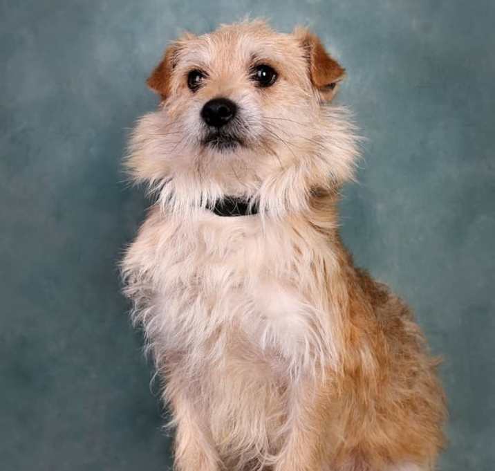 Photo of Chuck